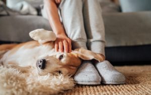How to Stay Cozy this Winter (While Saving Money, Too!)