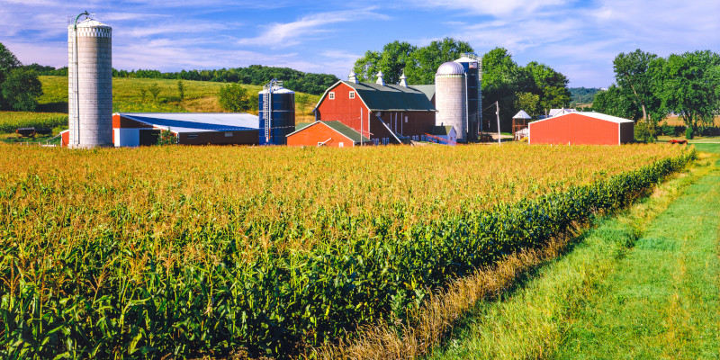 Farm Insurance in Barrie, Ontario