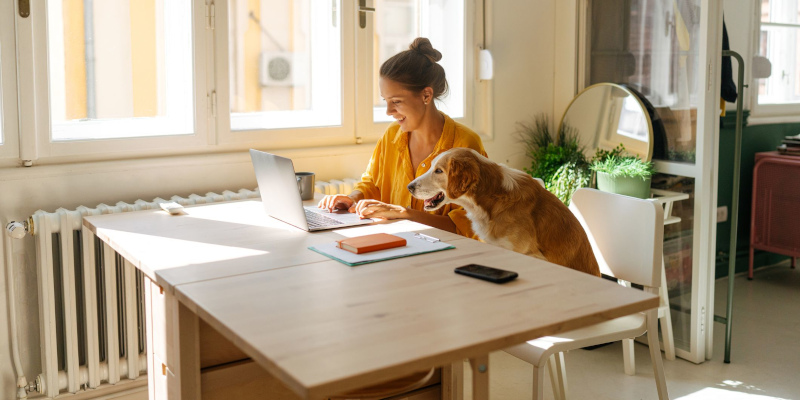 Rental Property Insurance in Barrie, Ontario