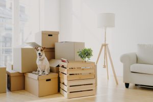 Here’s Why You Should Have Tenant Insurance